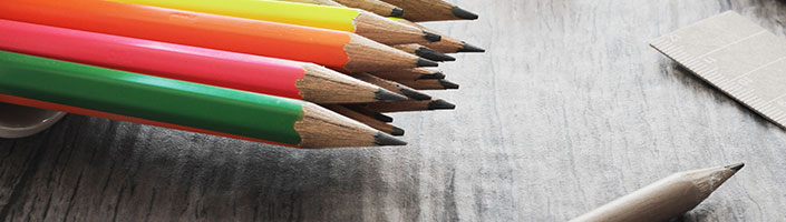 Student Trustee Elections 2018